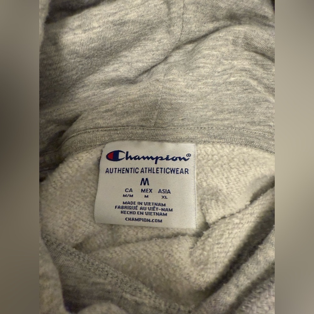 Champion Unisex Size Medium Montauk Hoodie Gray Sweatshirt Pullover - Picture 3 of 5